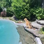 Torricella Отель типа 