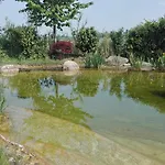 Torricella 4* San Giorgio di Piano