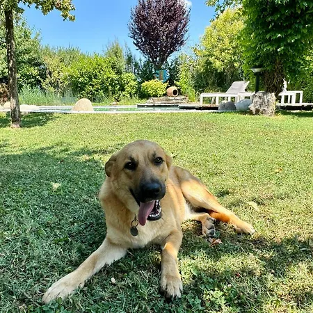 Torricella Bed & Breakfast