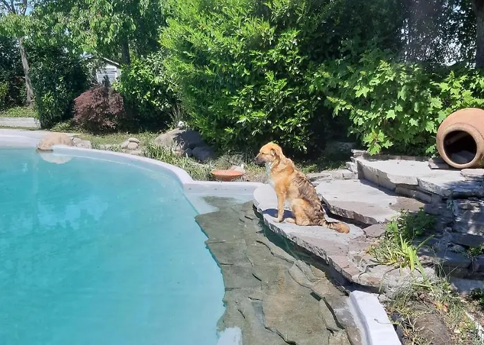 Torricella ベッド・アンド・ブレックファスト