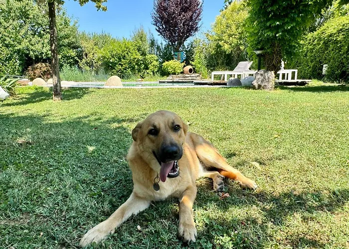 Torricella Bed & Breakfast