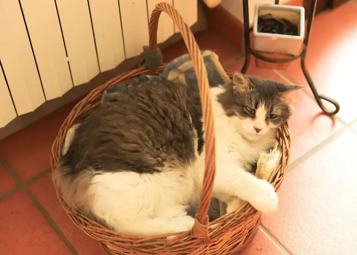 Bed & Breakfast Torricella